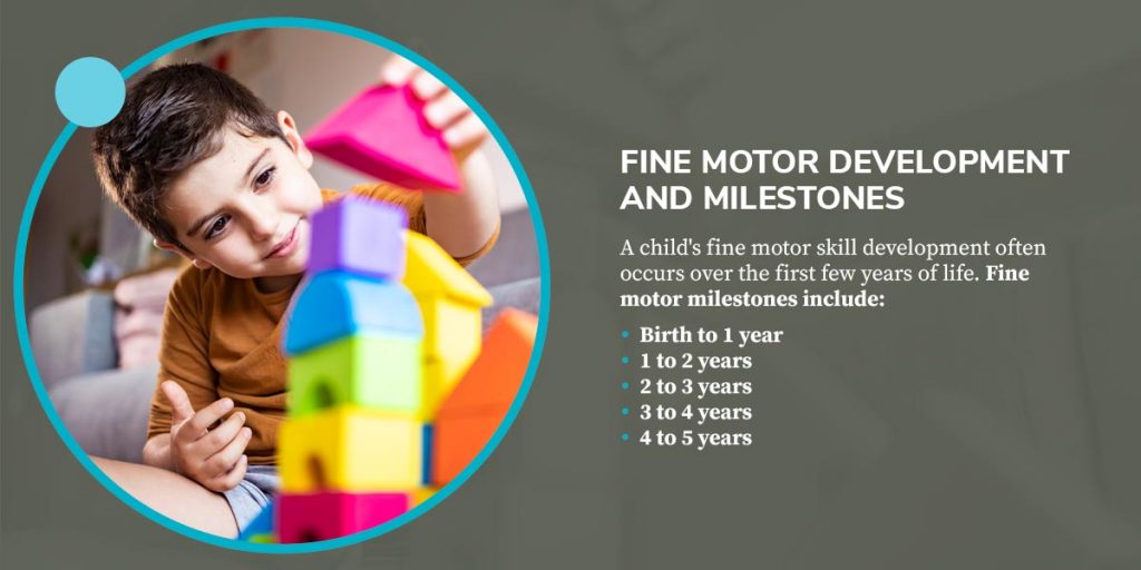 Fine Motor Milestones